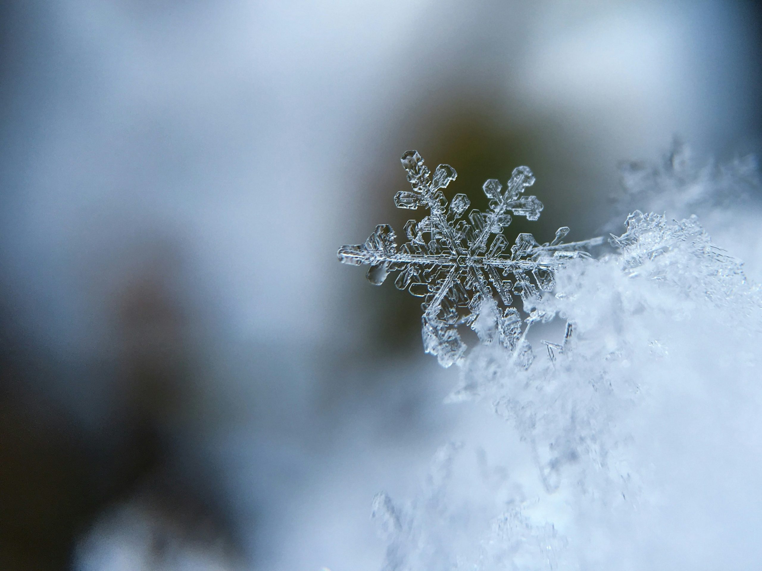 Securing A Vacant Property for Winter