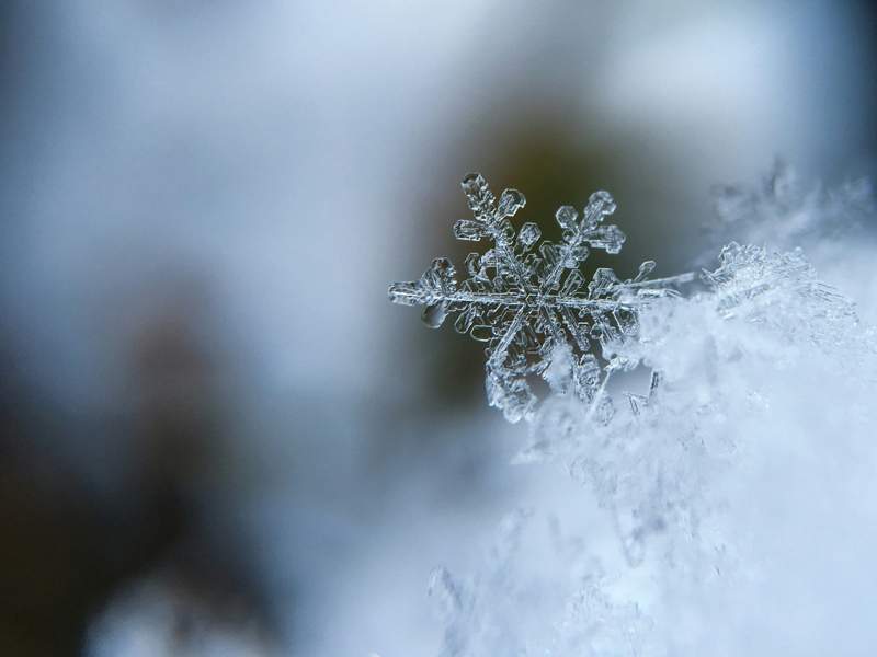 close up of snow flake