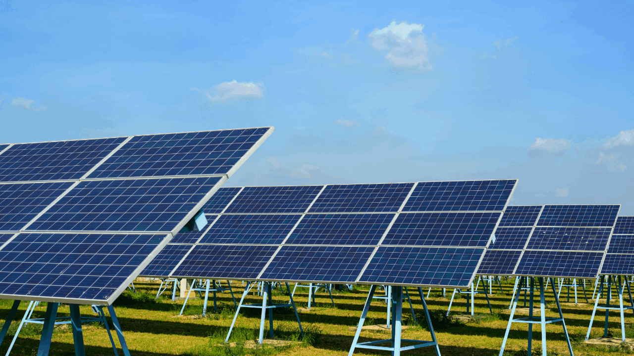 Secure your solar farm from cable theft and vandalism with Panthera's hoarding, fencing, and CCTV systems. Renewable energy asset protection.